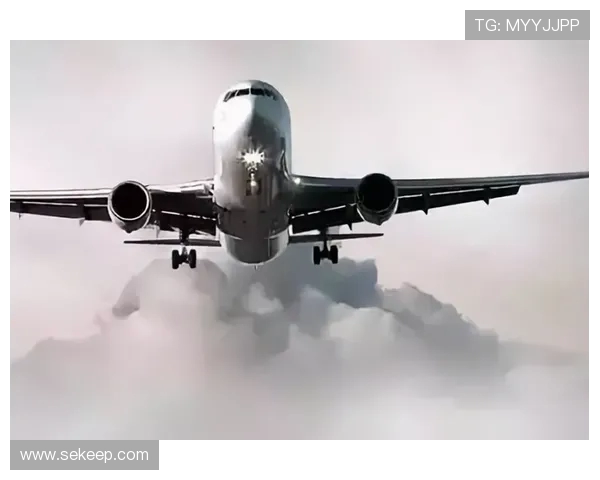 飞机机翼气动载荷的传感器实时监测